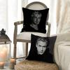 Singer R-Ryan Gosling Pillow Case Sofa Short Plush Double-Sided Hd Printing Room Home Office Gift Cushion Cover