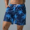 Men's Swim Trunks Quick Dry Beach Surfing Running Swimming Drawstring Shorts