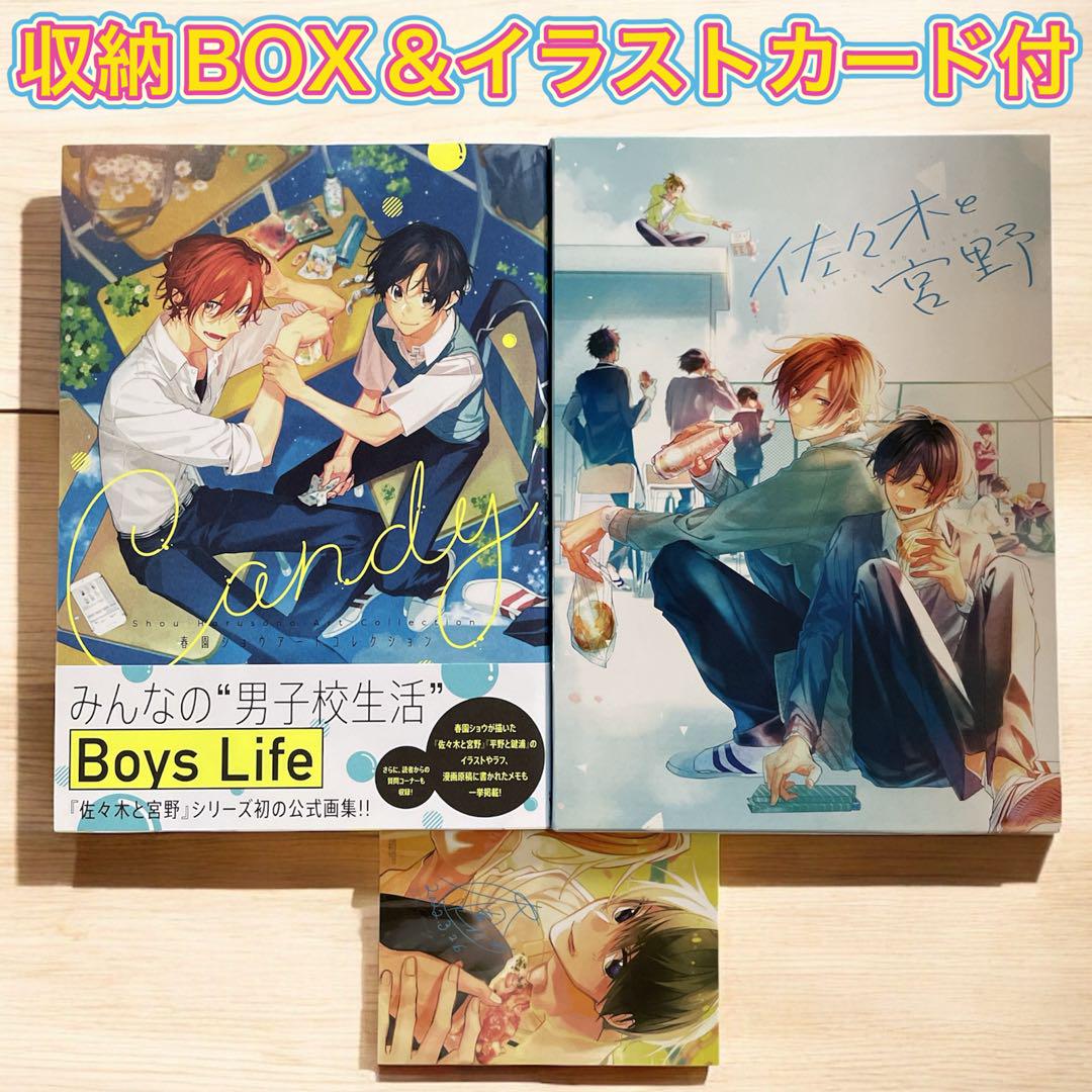 

[Б/У] Коллекция иллюстраций Shou Harusono Candy с футляром + Набор иллюстрационных карточек