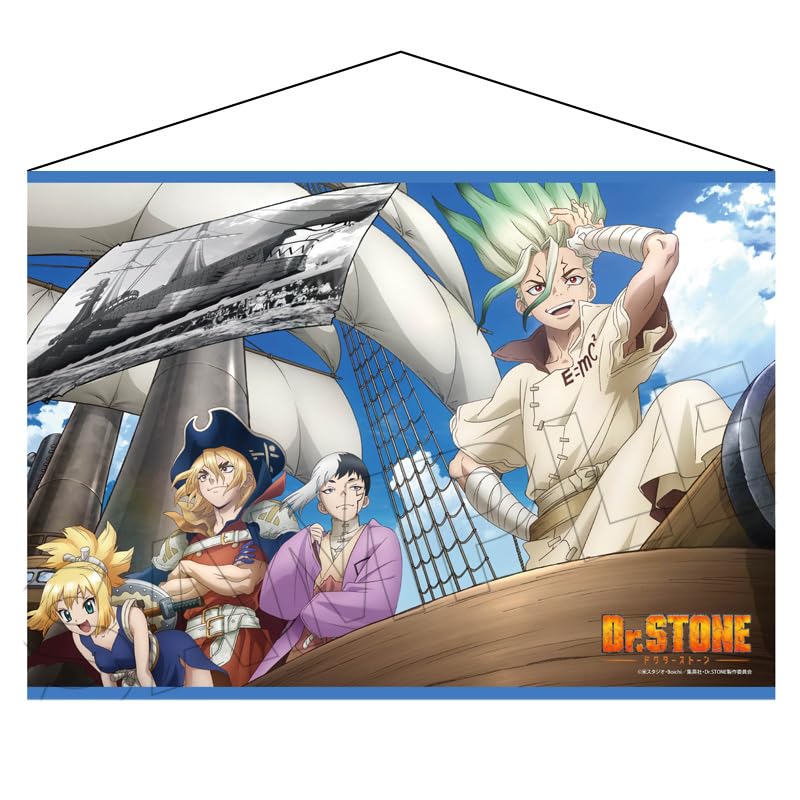 

ТВ-аниме Dr.STONE Двусторонний замшевый гобелен B2