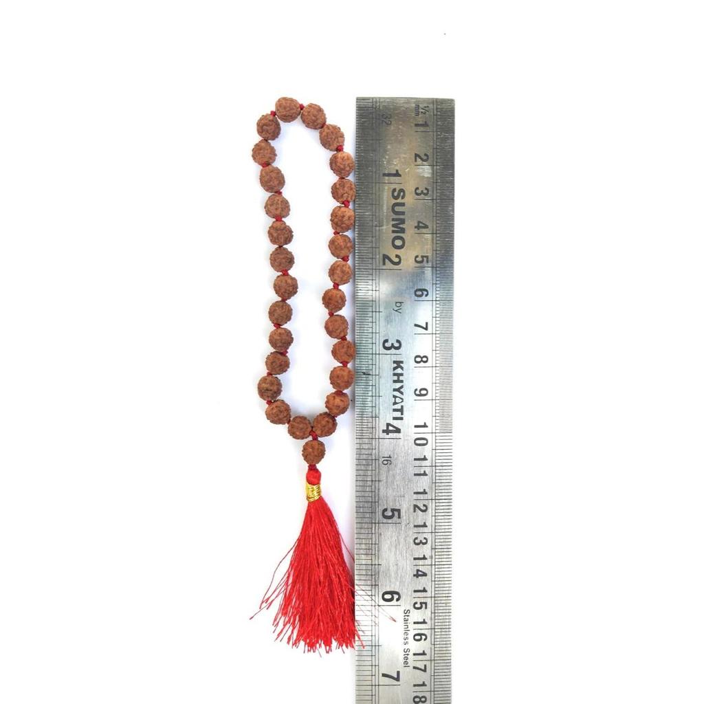 Apnisanskriti Lab Zertifizierte Sumarini Rudraksha Mala 10mm -