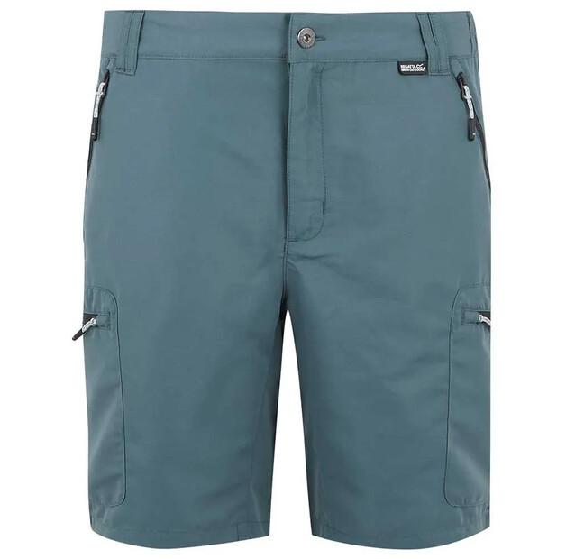 Regatta Leesville III Shorts
