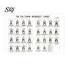 Tai Chi Mobility Exercises Seniors Chair Workout Chart for 30 Day Structured Exercise Plan with Seated Guided Daily And Walking Balance Flexibility