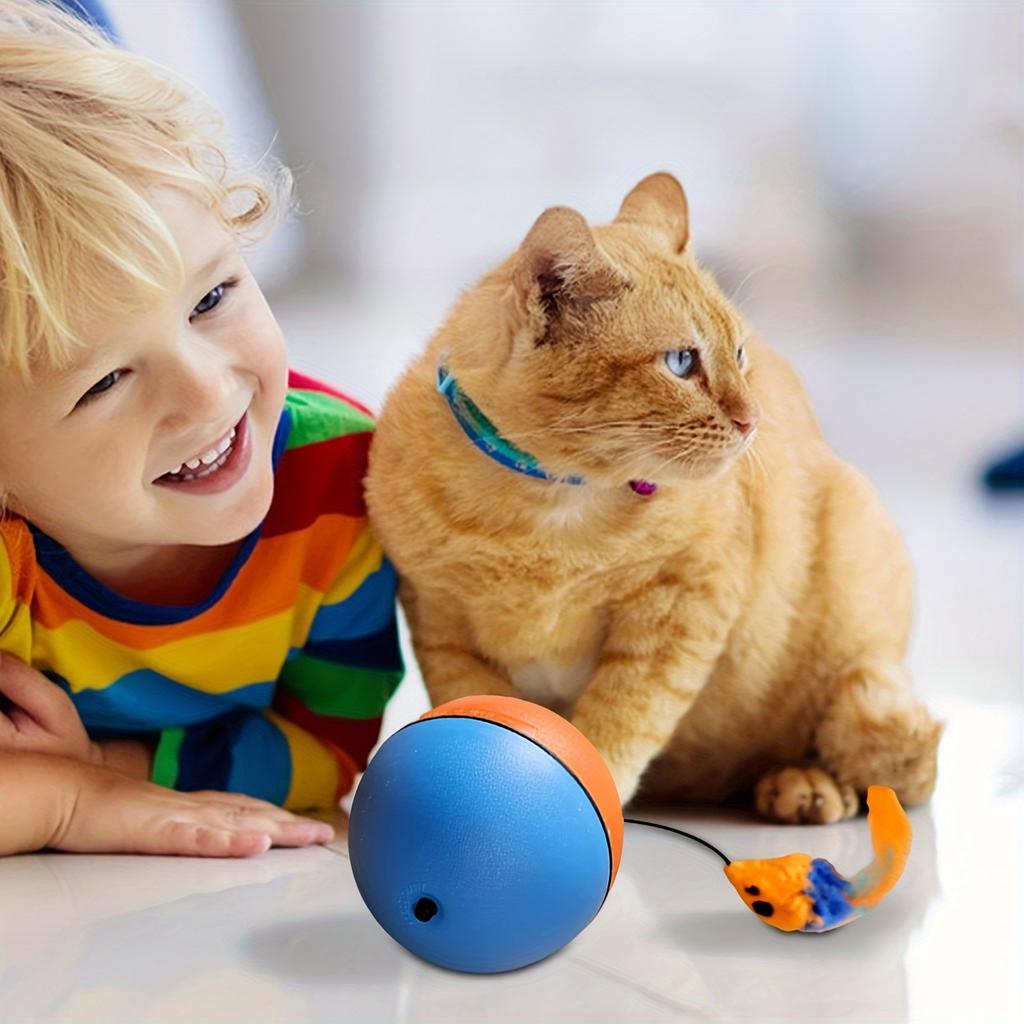 Automatic Rolling Cat Toy Interactive Chase Ball with No Batteries Needed, Motion-Activated Moving Teaser Ball