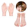 Professional Hand Foot Display Property Silicone Hand and Foot Props for Detailed Jewelry and Accessory Photography