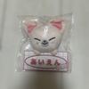 [USED] Straykids SKZOO Foxl.Ny Name Bag Charm