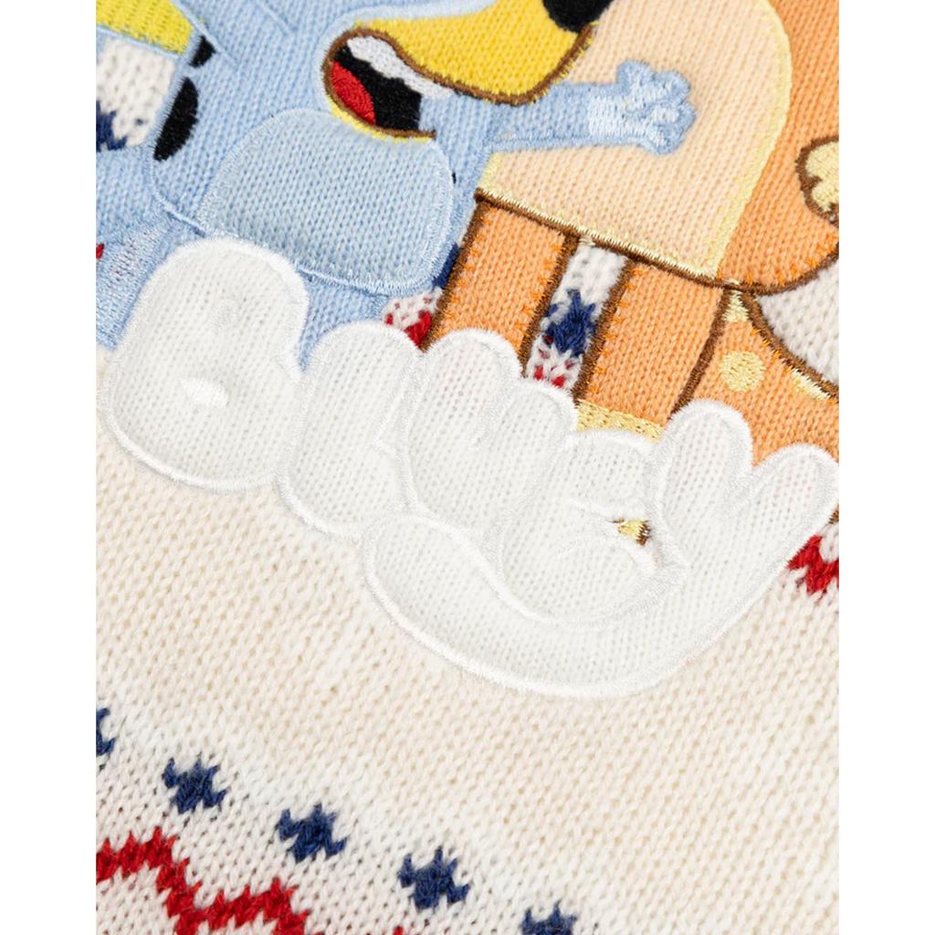 Bluey Childrens/Kids Family Christmas Jumper
