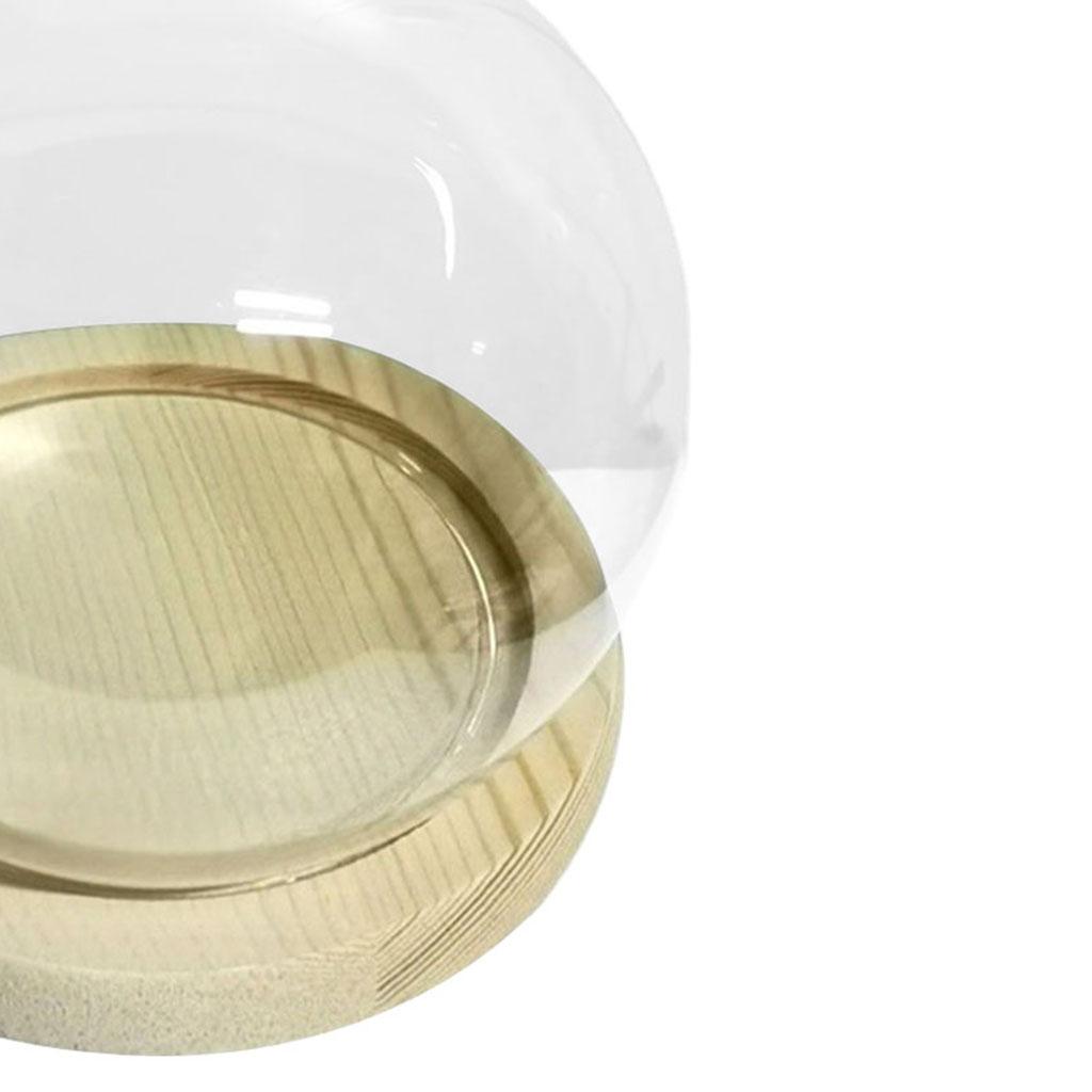 Gläserne Display-Cloche Terrarium Kugelförmige Abdeckung mit Holzsockel