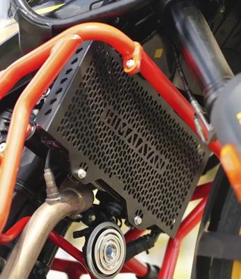 RADIATOR GUARD SILVER Fit For Royal Enfield New Himalayan 450