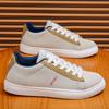 Summer New Low-top Board Shoes Men's Casual Flat Bottom Wear-resistant Trend Versatile Sports Little White Shoes Lace-up Korean Version Men's Shoes