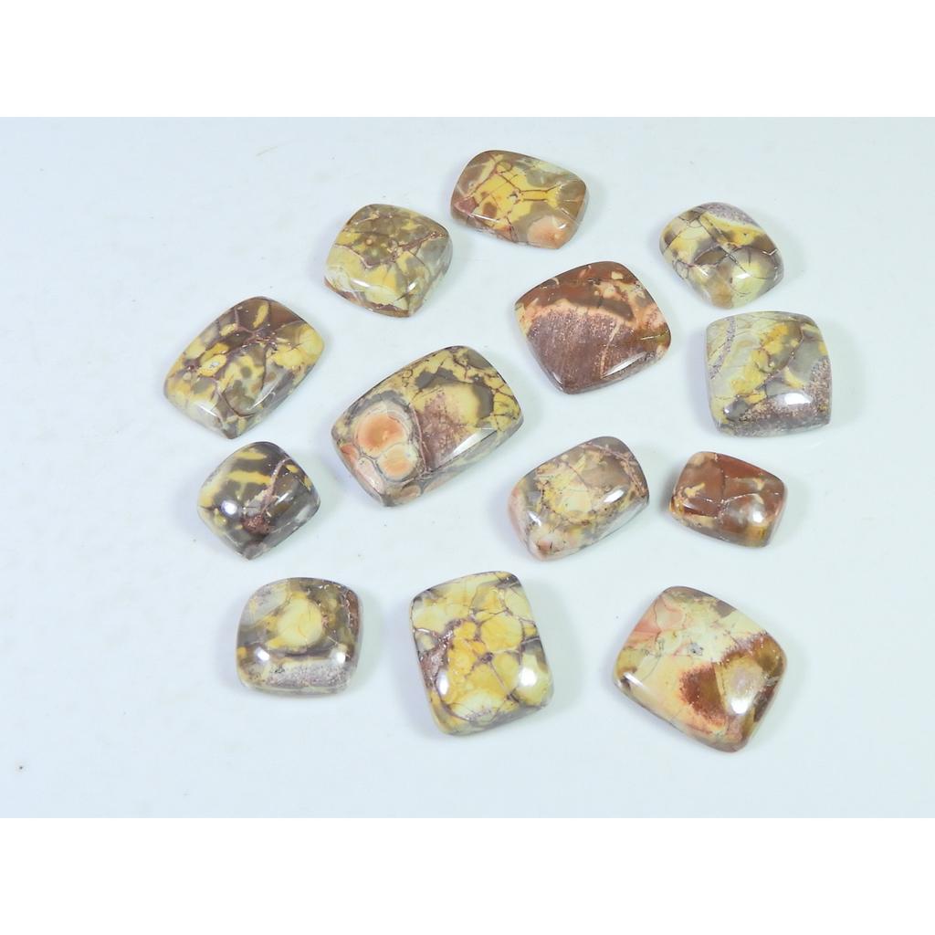 123Cts. Natural Bird Eye Jasper Octagon Cabochon Loose Gemstone 13Pcs Lot C-1915