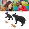 Bear Life Cycle Figure Cognitive Educational Decorative PVC Animal Life Cycle Figure for Teaching