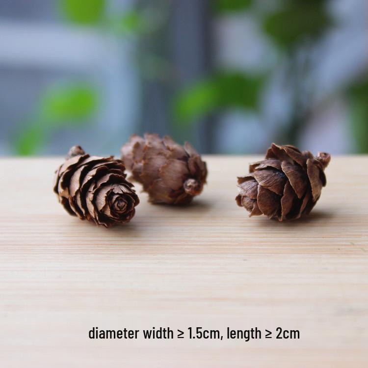 Natural Dried Fruit Wood Slices & Pine Acorn Christmas Decor Materials for Photography Backgrounds