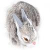 Realistic Plush Bunny High Simulation Rabbit Hair Sturdy Sturdy Soft Comfortable Widely Used Bunny