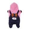 Hund Warme Kleidung Herbst Winter Mode Niedlich Bestickter Bär Streifen 4 Beinig Warm Winddicht Haustiermantel für Täglich Draußen