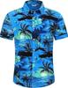 Summer Men's Beach Shirt Printed Hawaiian Short Sleeve Flower Shirt Boys