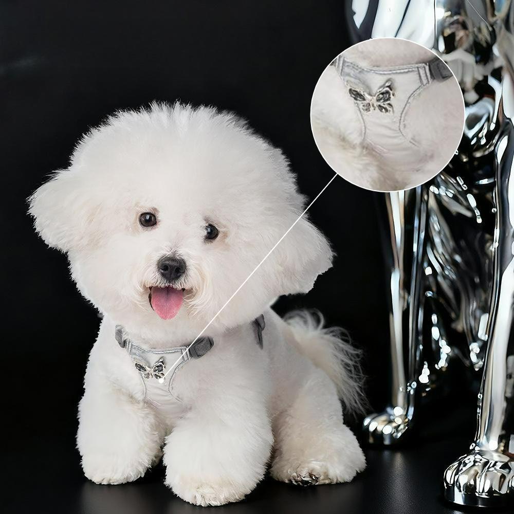 Pet Leash Set for Small Dogs Elegant Harness with Bow Walking Leash Ultrasonic Liquid Fabric Dog Harness Cat Collar Accessories
