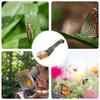 Fly Catching Tool And Magnifier Contactless Magnifying Quick Release Gadget Fly Catcher For Boys Girls Adults Children Nature