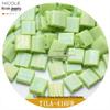 Frosted Iridescent MIYUKI Tila Square Double-Hole Beads, 10g
