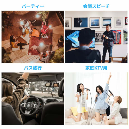 LIBATA Dynamic Vocal Microphone, Handheld Karaoke Microphone, Unidirectional, High Sound Quality, 6.5mm + 3.55mm Audio Connection, 3m XLR Cable Includ