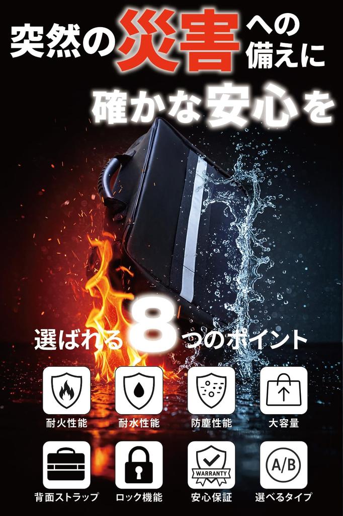 YULUQ Fireproof & Water-Resistant Document Bag with Lock (A4 Accordion, Black)