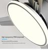 Modern Minimalist Ceiling Fan with Five Stainless Steel Blades, LED Light, Low Noise, and Frequency Conversion for Living Room or Dining Room.