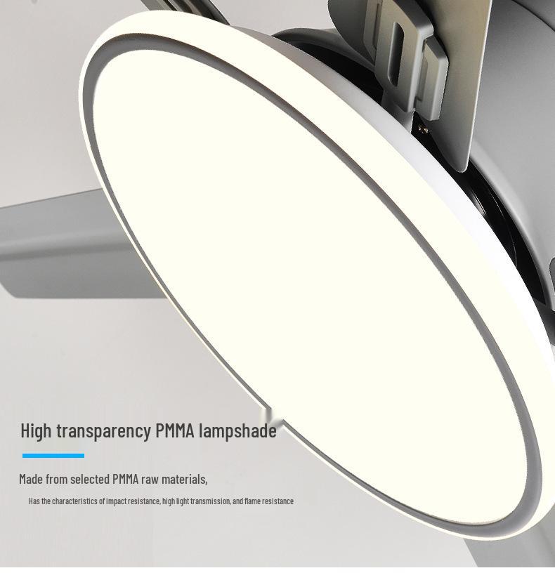 Modern Minimalist Ceiling Fan with Five Stainless Steel Blades, LED Light, Low Noise, and Frequency Conversion for Living Room or Dining Room.