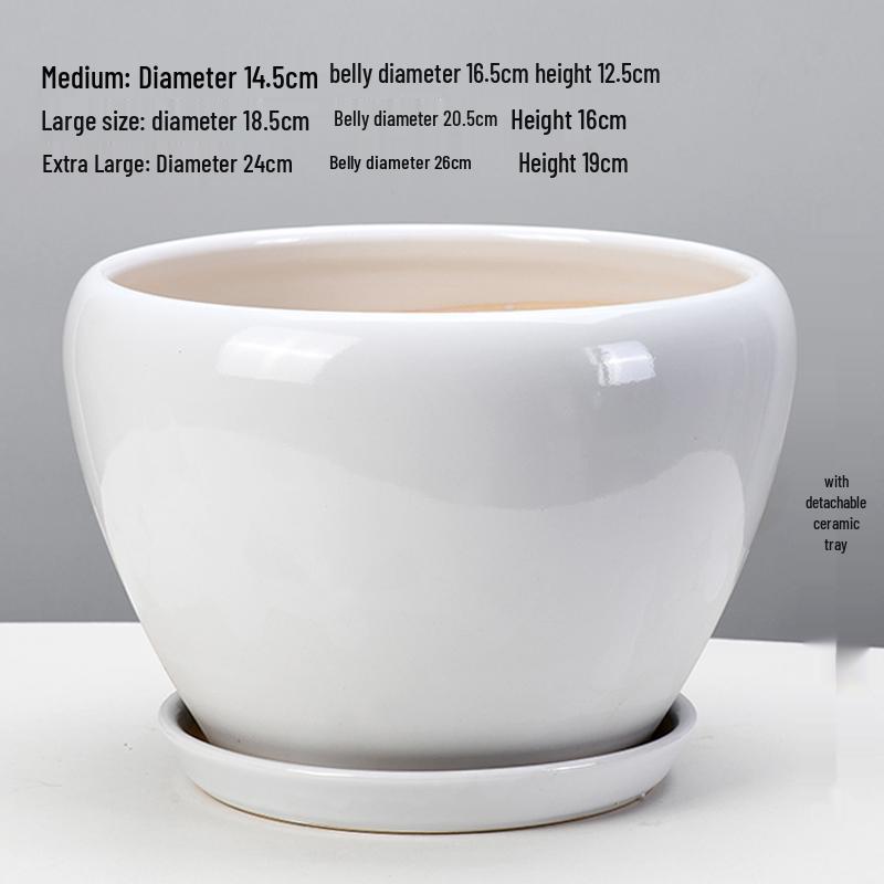 White Ceramic Orchid Pot, Large Elegant Design for Living Room