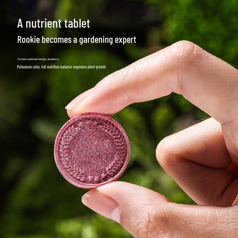 Indoor Flowering Nutrient Tablets: Universal NPK Organic Fertilizer for Potted Plants & Succulents with Slow-Release Formula for Home Gardening.