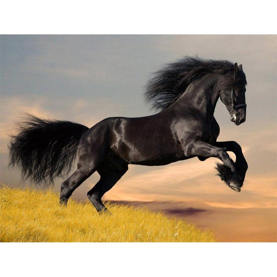 

5D круглая алмазная живопись животное алмазная вышивка ;лошадь ; Мозаичная картина со стразами, набор для вышивки крестиком, сделай сам, украшение для дома, подарок Full Round 20x30CM