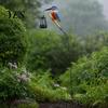 Warm Yellow Solar Light Garden Bird Light, Outdoor Hummingbird Kingfisher Lantern with Shaped Stake, Automatic On/Off Pathway for Yard Lawn