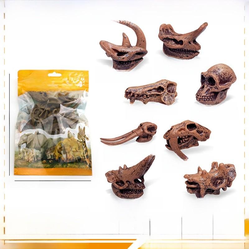 Prehistoric Mammal Skull Model With Pvc Material For Educational Museum Display And Collectors