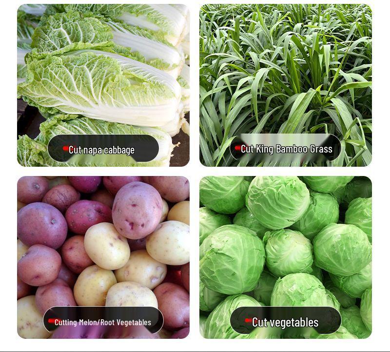 Multi-Functional Electric Vegetable Chopper and Grinder for Poultry and Aquaculture