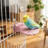 Non-slip Parrot Perch Stand Wear-resistant Bird Cage Perches Bird Teeth Chew Stick  Home Training