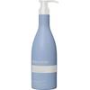 BJORN AXEN Repair-Spülung Große Größe 750 ml