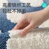 Thickened Absorbent Bathroom Mat Non Slip Shower Floor Rug Soft Plush Toilet Foot Pad for Home Washroom Restroom Decor Carpet