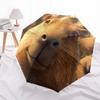 Capybara Pattern, Automatic Folding Umbrella, Portable and Foldable Design, 8 Ribs, a Christmas or Birthday Gift.