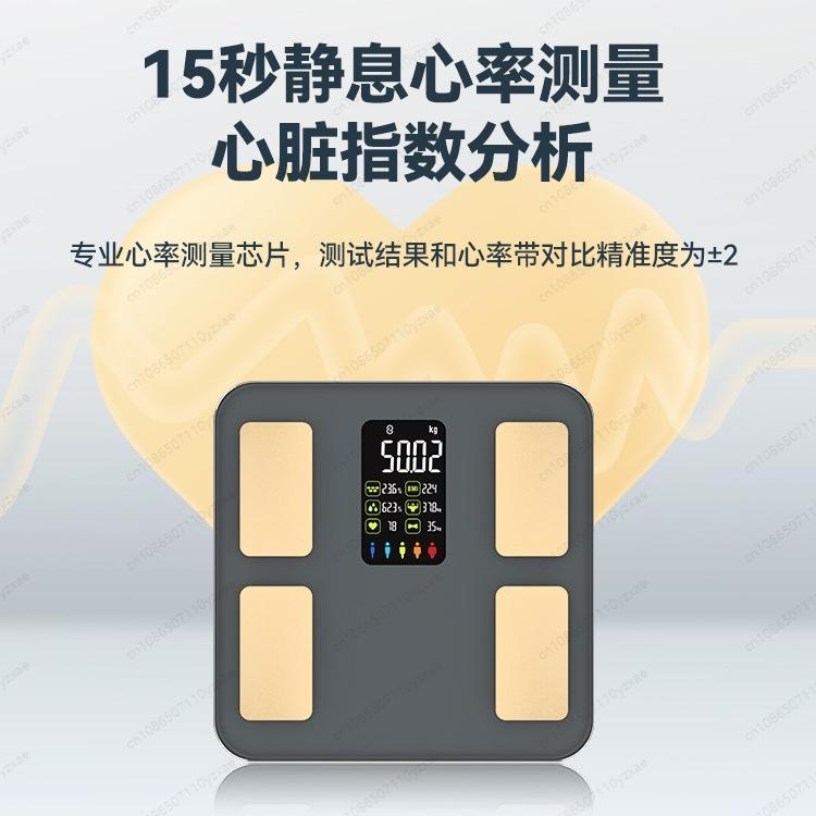 Smart Body Fat Scale, Accurate Bluetooth Bathroom Scale with 13 Body Composition Analysis, Fitness Health Monitor