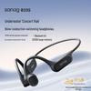 Sanag B33S IP68 Waterproof Bone Conduction Swimming Headphones