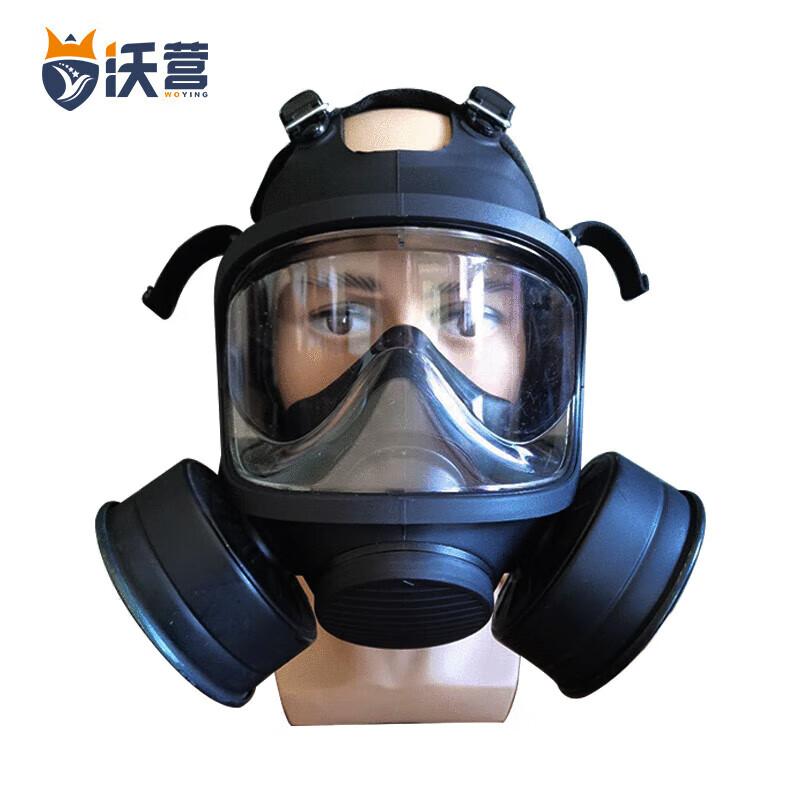 Woying TF11D Full Face Respirator Mask