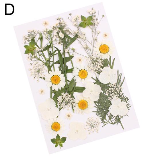 

Прессованные смешанные органические натуральные сушеные цветы DIY художественное ремесленное подарочное украшение D