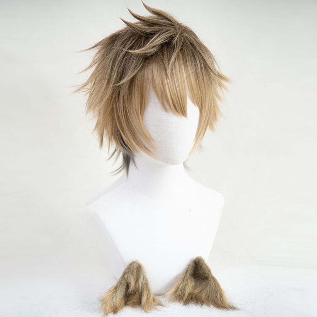 LAOBAO Cosplay Wig, Heat Resistant, Brown, Costume Accessory, Party, Fancy Dress, Halloween, Festival, Event, Cosplay Wig