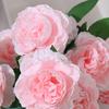 Simulated 3 Headed Peony Decoration Realistic Artificial Peony Branch for Wedding