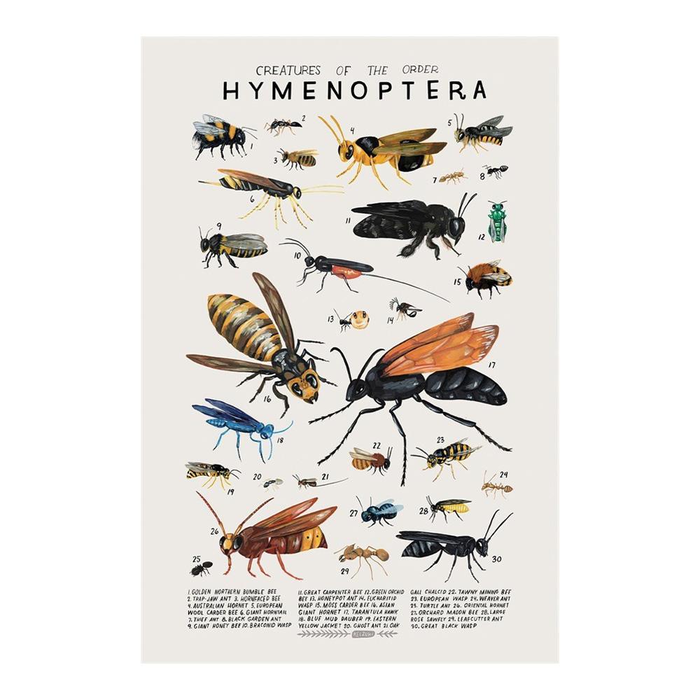 Abstract Marine Organisms Jellyfish Whale Squid Fishes Posters Canvas Painting and Prints Wall Art Picture for Room Home Decor