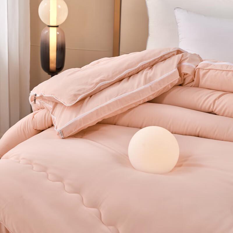 PAUI DAVID Lyocell Two-in-One All-Season Comforter