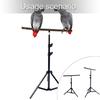 Supporto con Perch per Uccelli Treppiede Costruzione in Legno Naturale Design Retrattile Regolazione Altezza Strumento di Addestramento per Pappagalli