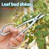 Stainless Steel Scissors Gardening Plant Branch Shears Flower Cutting Flower Shears Flowers Shop Scissors Flowers Shop Scissors