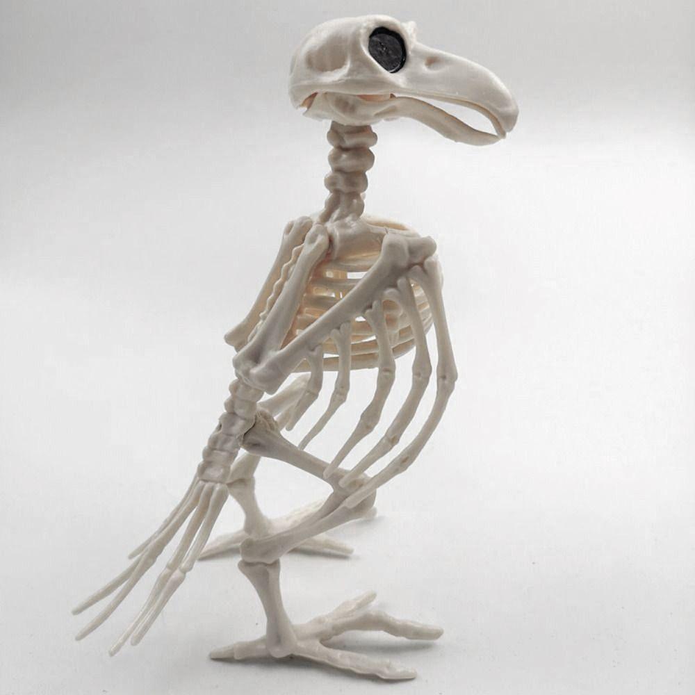 Halloween Prop Plastic Halloween Decoration Skeleton Raven Animal Skeleton Bones Crow Skeleton