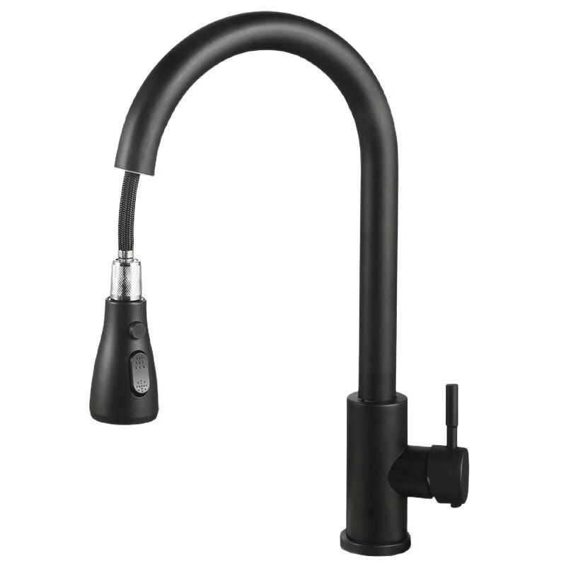 TLXT Kitchen Sink Faucet with Pull-out Sprayer