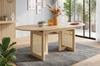 Extendable Dining Table 120/160 * 80 cm, suitable for 6–8 people, rounded corners, thickened tabletop, simple style, rattan table legs, oak color